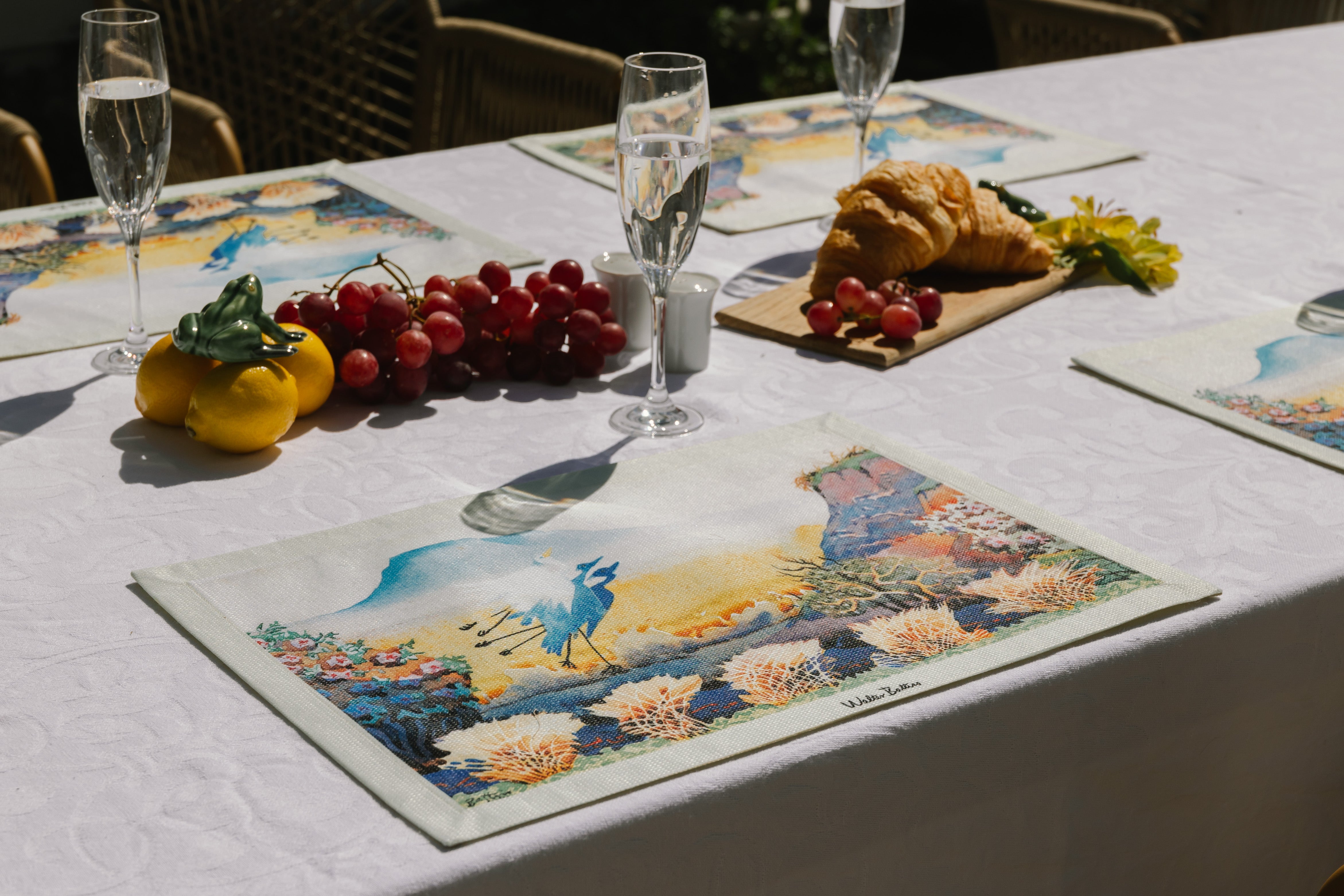 Karoo Birds In Flight placemat